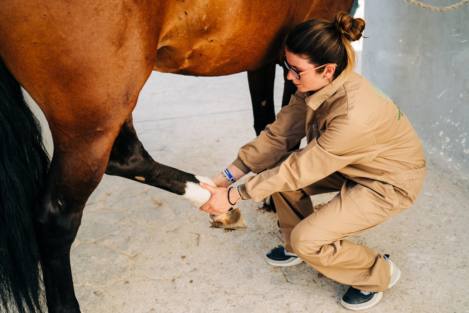 Professional horse anatomy lesson at Parker Equestrian Academy